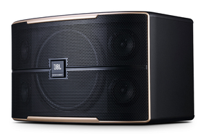 JBL Pasion 10 Passive 10” Full-Range Karaoke Loudspeaker