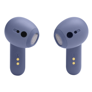 JBL Live Flex True wireless Noise Cancelling earbuds