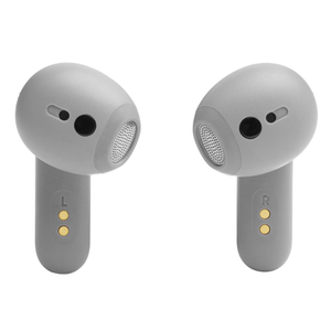 JBL Live Flex True wireless Noise Cancelling earbuds