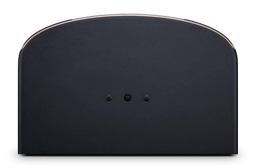 JBL Pasion 10 Passive 10” Full-Range Karaoke Loudspeaker