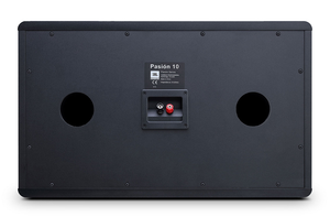 JBL Pasion 10 Passive 10” Full-Range Karaoke Loudspeaker