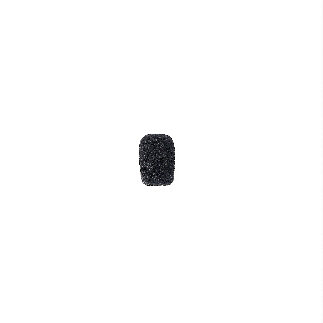 Mic Sponge