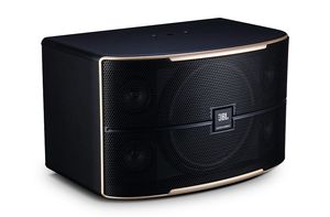 JBL Pasion 10 Passive 10” Full-Range Karaoke Loudspeaker